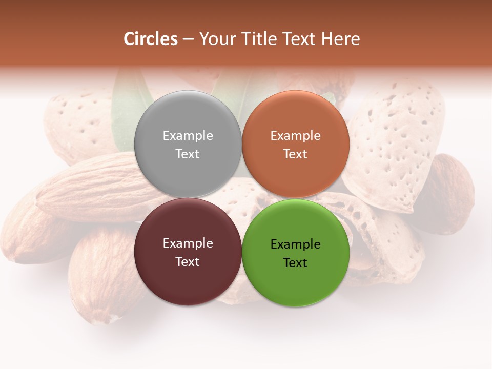 Isolated Plant Close Up PowerPoint Template