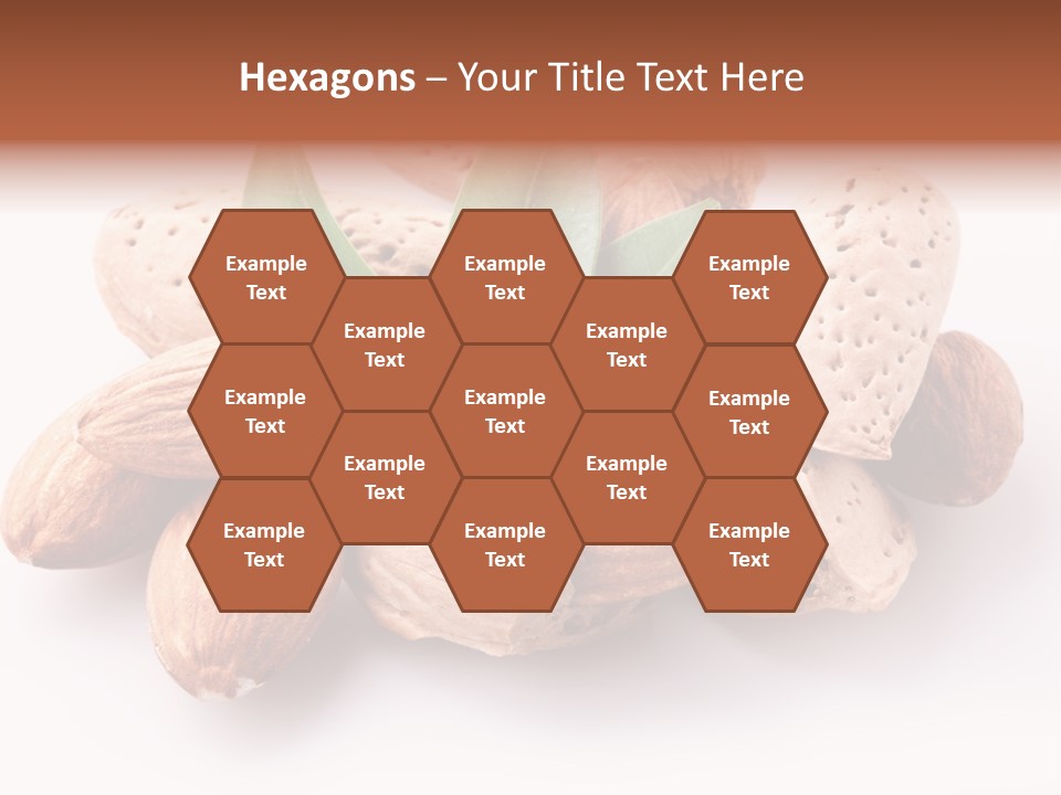 Isolated Plant Close Up PowerPoint Template