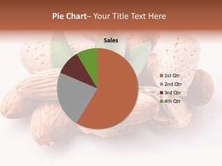 Isolated Plant Close Up PowerPoint Template