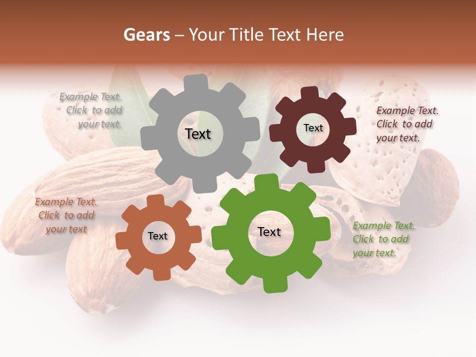 Isolated Plant Close Up PowerPoint Template