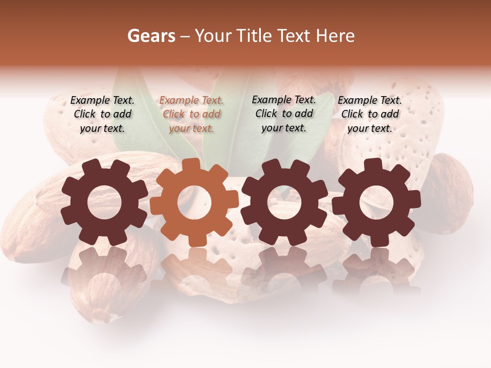 Isolated Plant Close Up PowerPoint Template