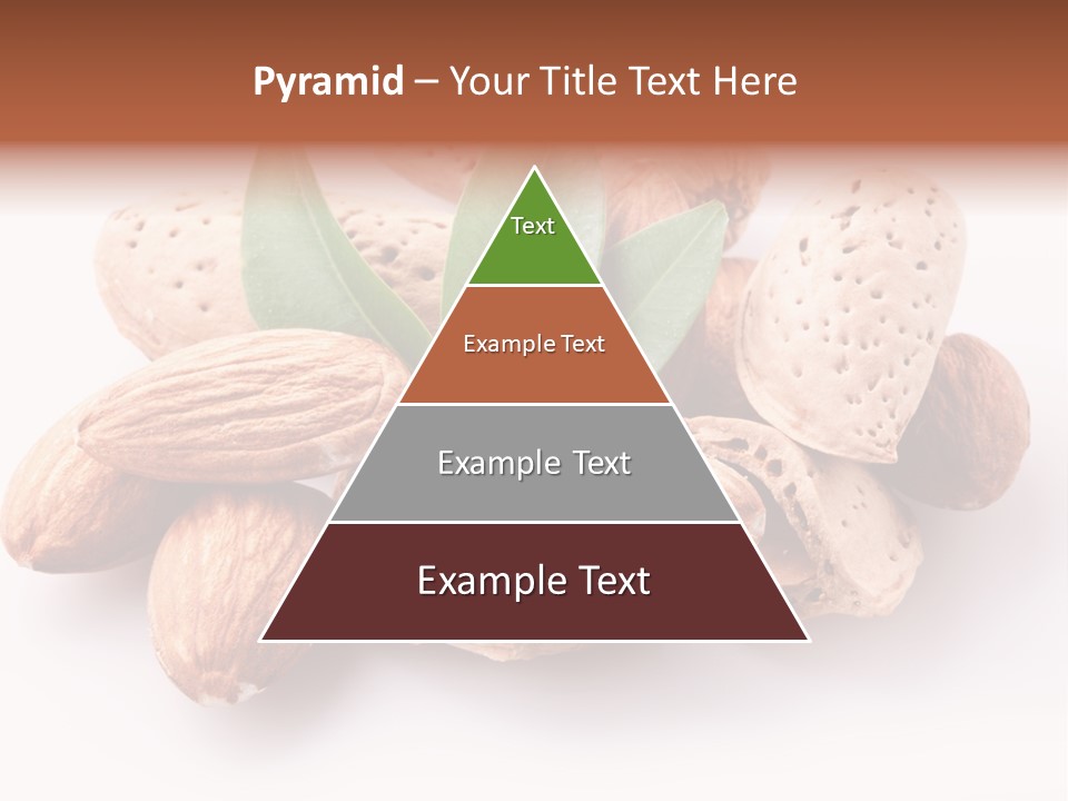 Isolated Plant Close Up PowerPoint Template