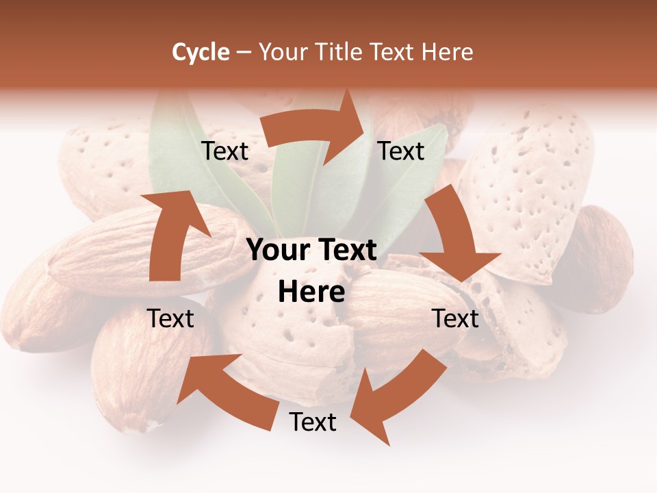 Isolated Plant Close Up PowerPoint Template