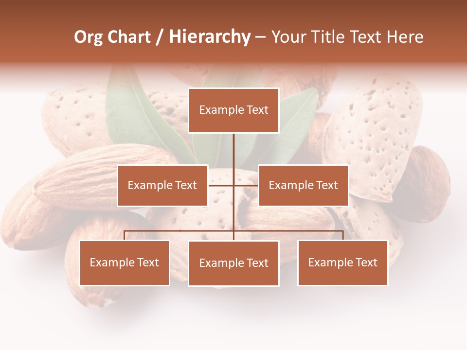 Isolated Plant Close Up PowerPoint Template