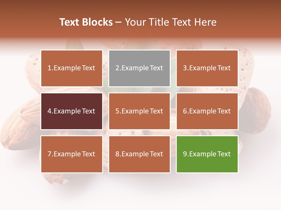 Isolated Plant Close Up PowerPoint Template