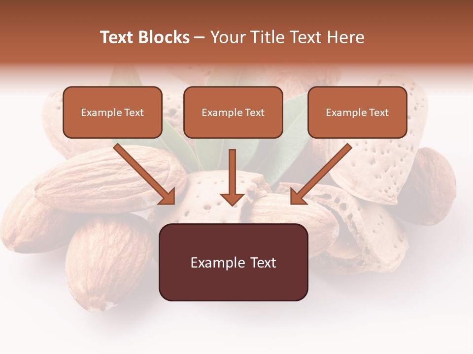 Isolated Plant Close Up PowerPoint Template
