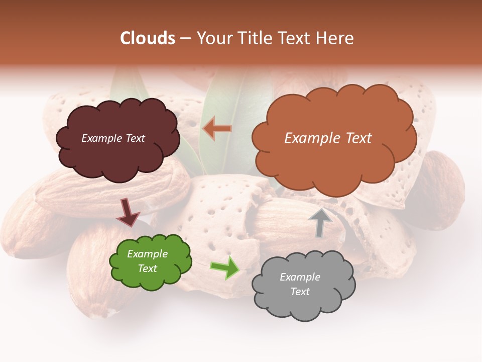 Isolated Plant Close Up PowerPoint Template