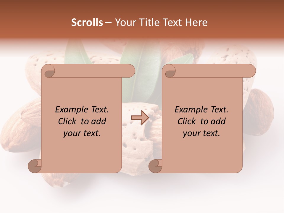 Isolated Plant Close Up PowerPoint Template