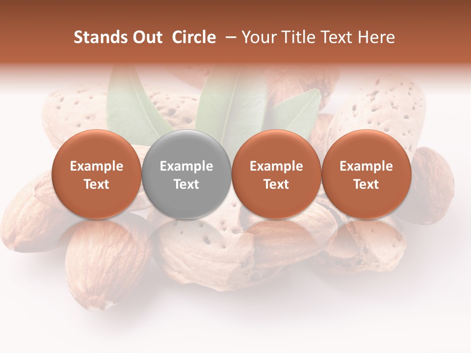 Isolated Plant Close Up PowerPoint Template