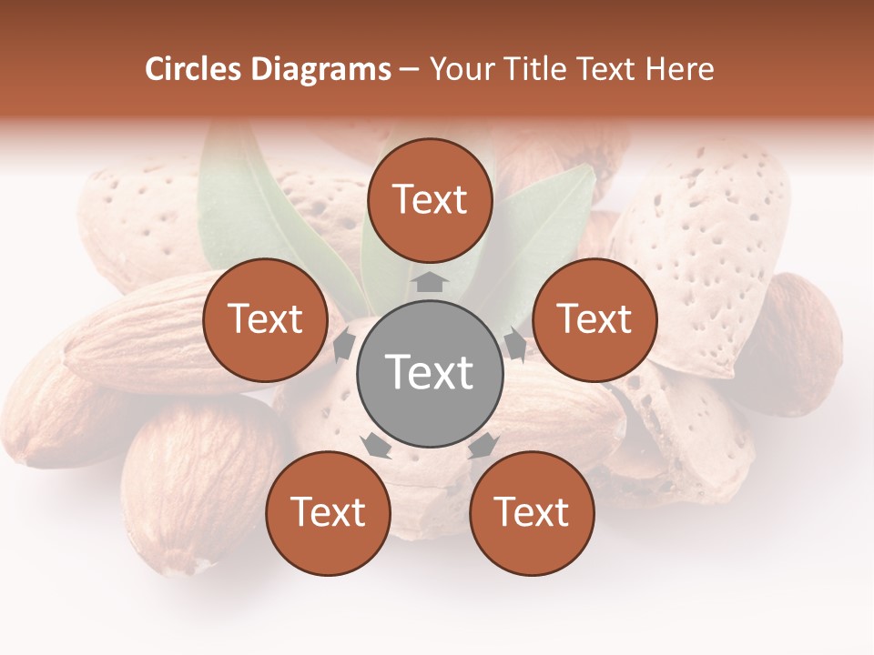 Isolated Plant Close Up PowerPoint Template