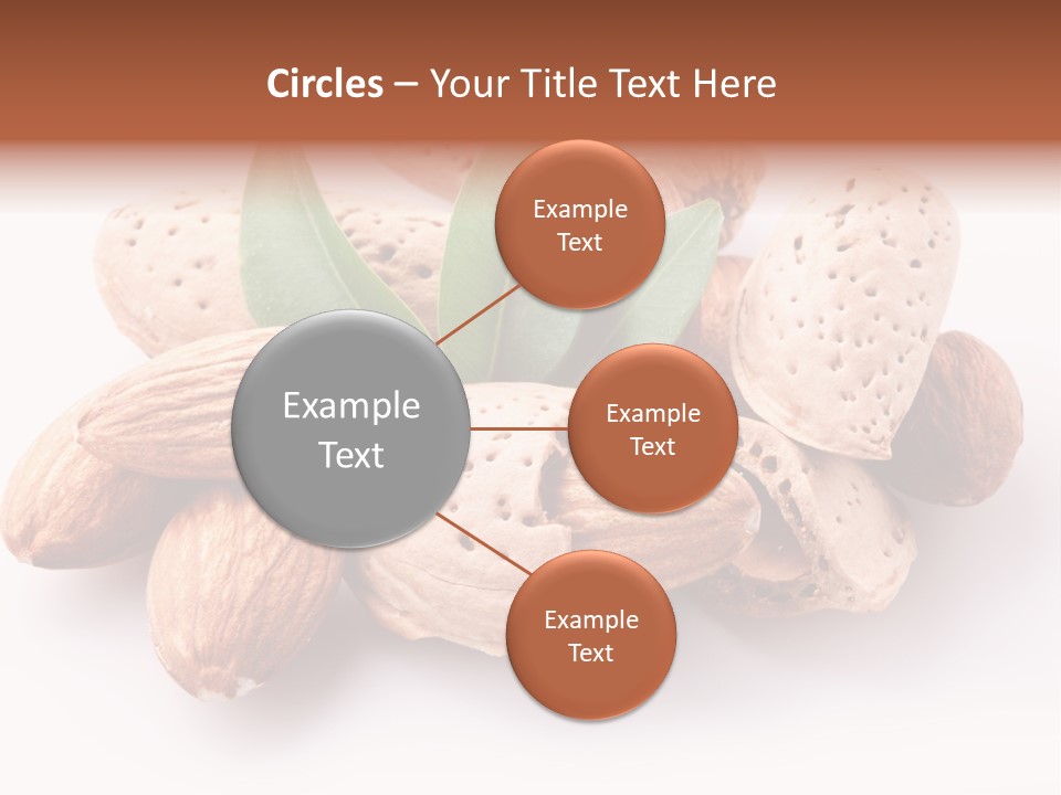 Isolated Plant Close Up PowerPoint Template