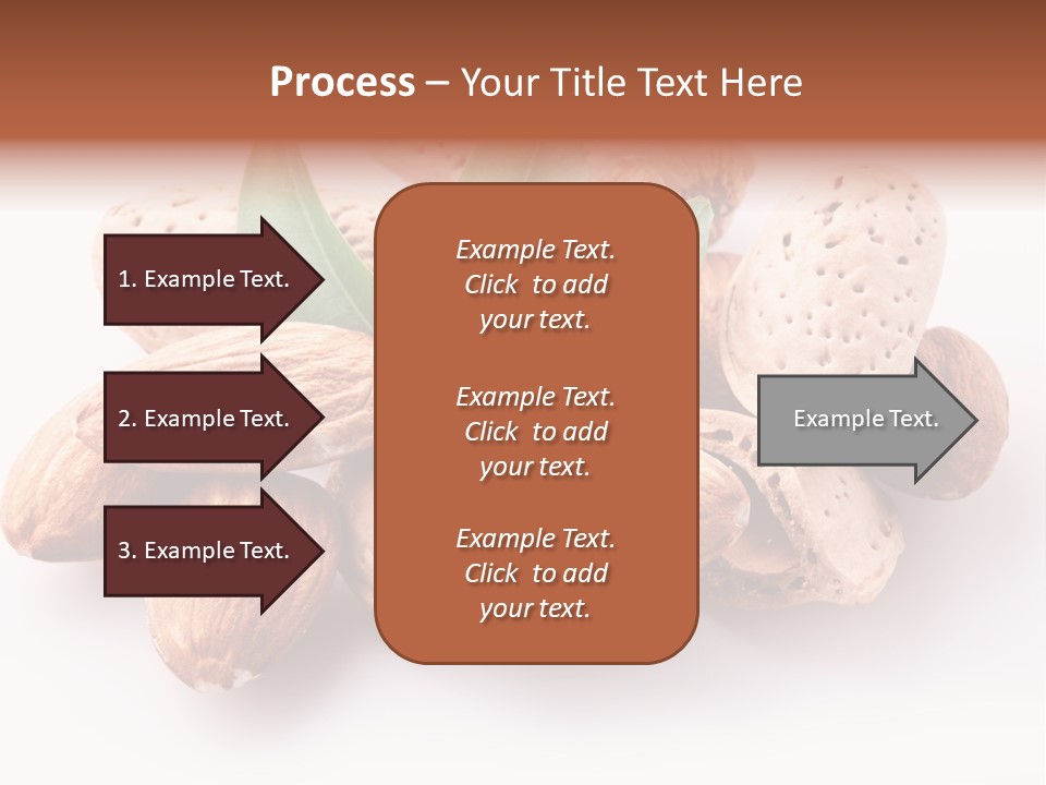 Isolated Plant Close Up PowerPoint Template