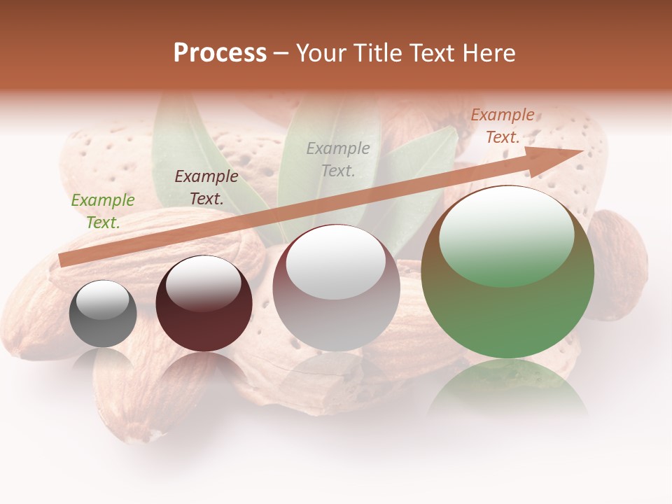Isolated Plant Close Up PowerPoint Template