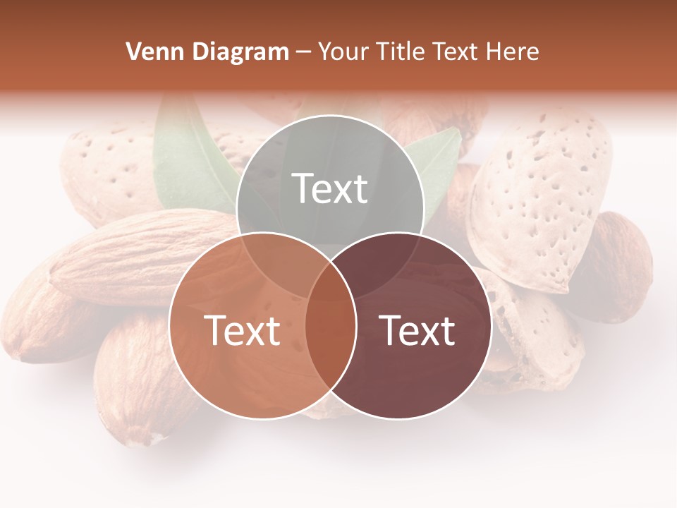 Isolated Plant Close Up PowerPoint Template