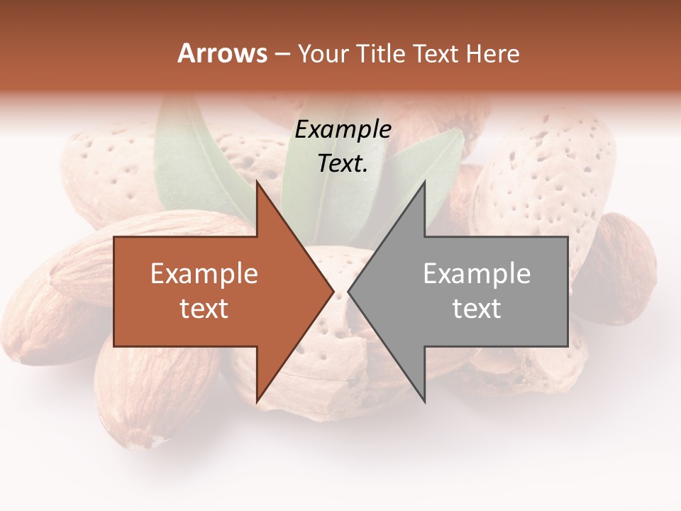 Isolated Plant Close Up PowerPoint Template