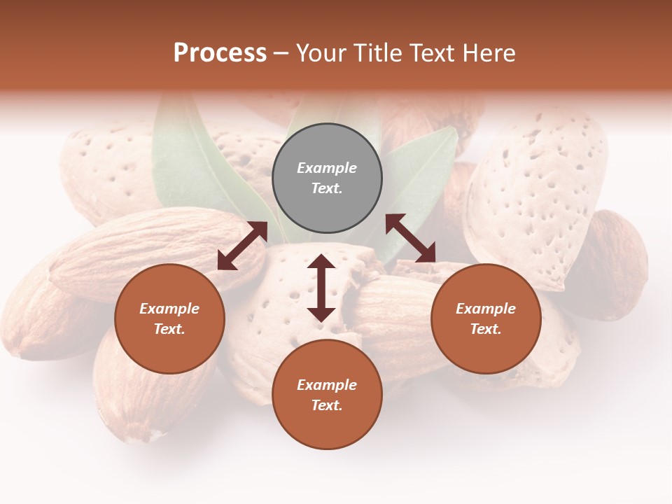 Isolated Plant Close Up PowerPoint Template