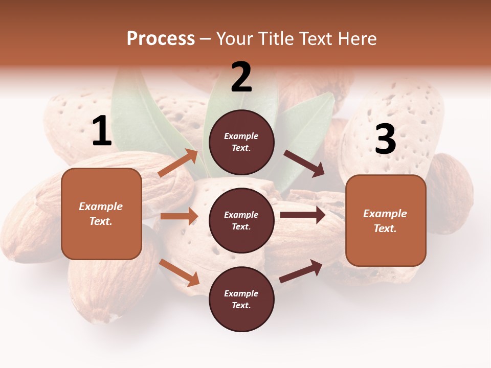Isolated Plant Close Up PowerPoint Template