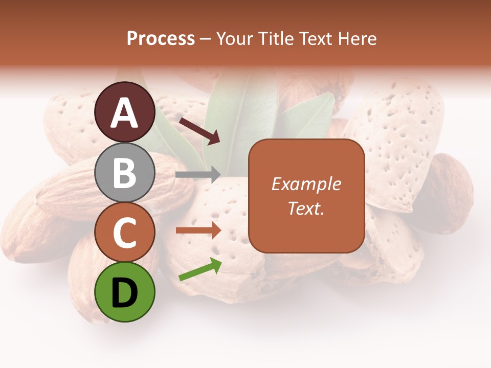 Isolated Plant Close Up PowerPoint Template