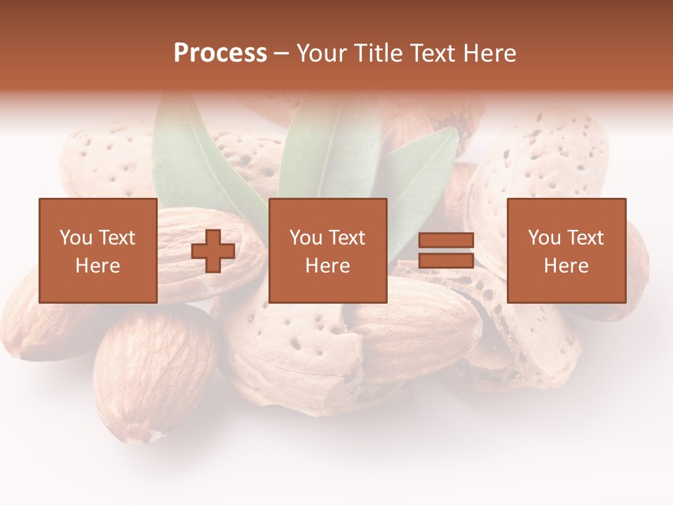 Isolated Plant Close Up PowerPoint Template