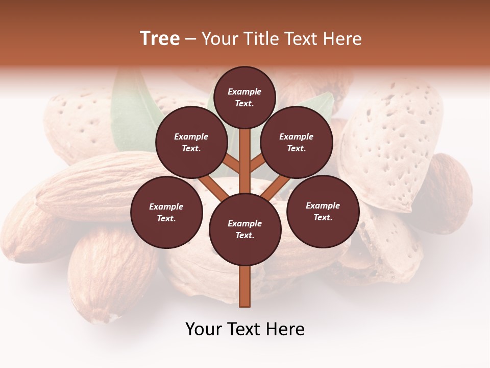 Isolated Plant Close Up PowerPoint Template