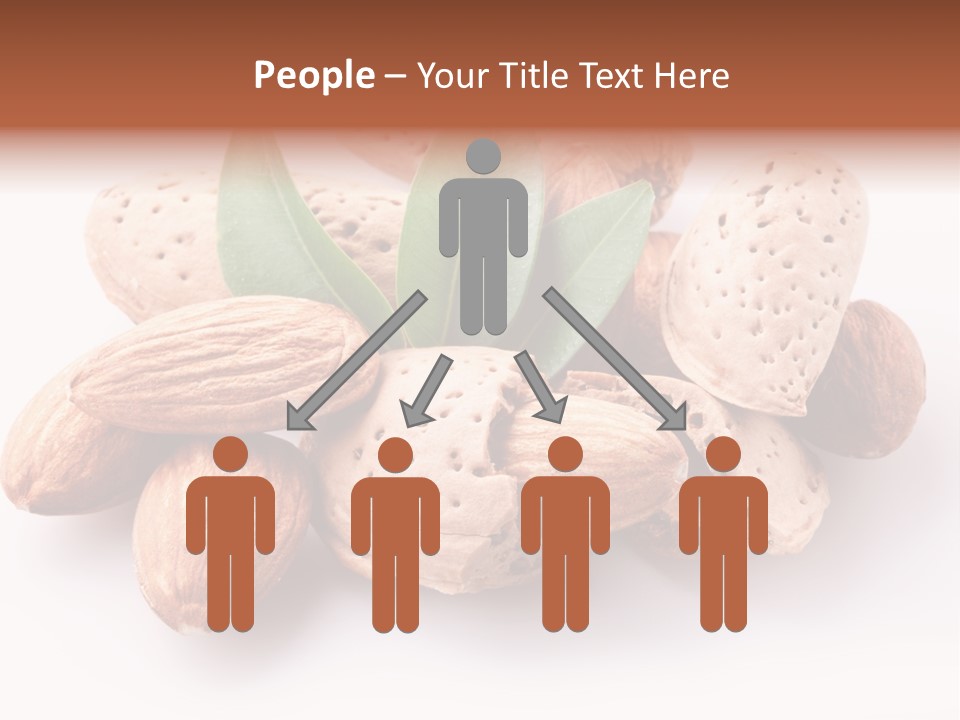 Isolated Plant Close Up PowerPoint Template