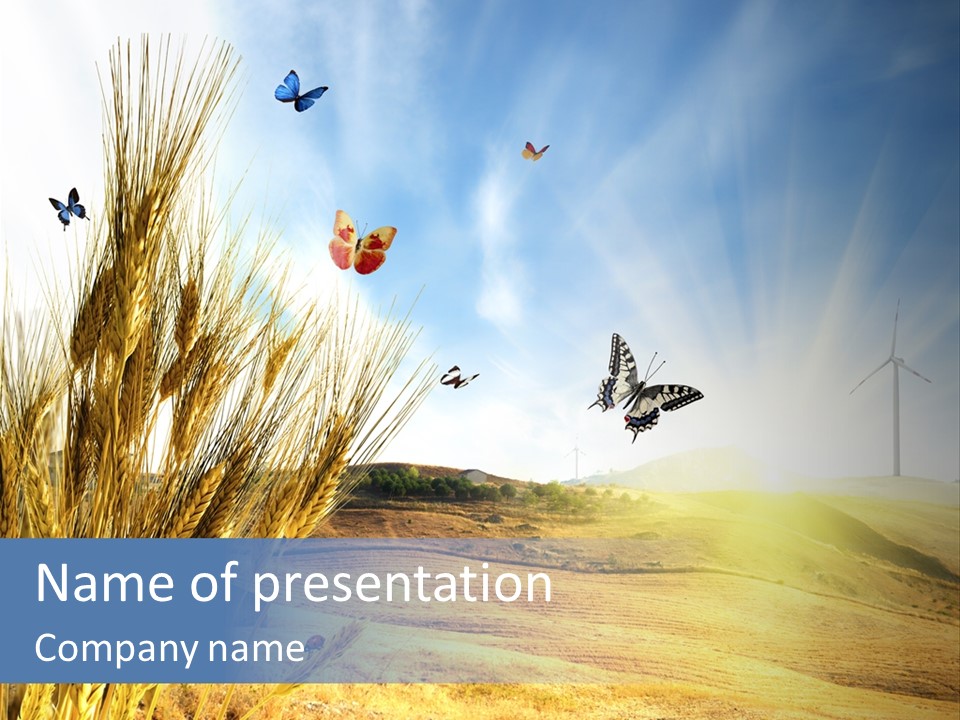 Growth Way Butterfly PowerPoint Template