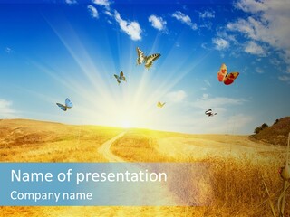 Seed Wheat Sundown PowerPoint Template