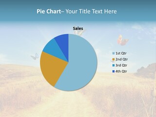 Seed Wheat Sundown PowerPoint Template