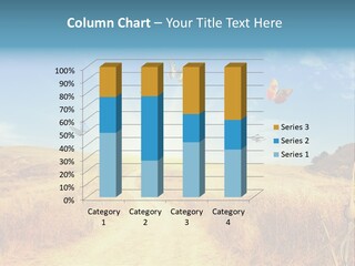 Seed Wheat Sundown PowerPoint Template