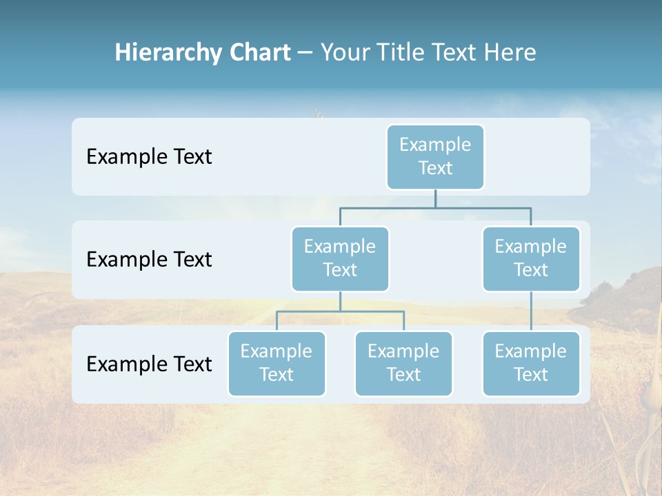 Seed Wheat Sundown PowerPoint Template