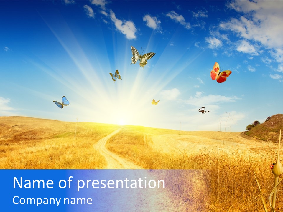 Sunset Farm Plant PowerPoint Template