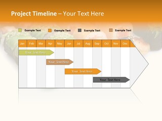 California Maki Gourmet PowerPoint Template