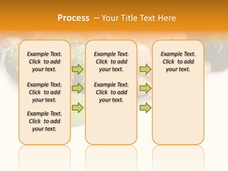 California Maki Gourmet PowerPoint Template