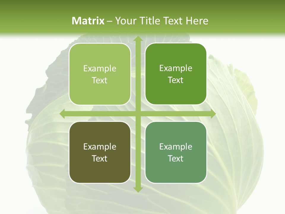 Mineral Salad Vegetable PowerPoint Template