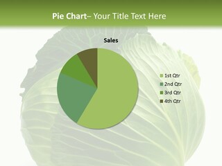 Mineral Salad Vegetable PowerPoint Template