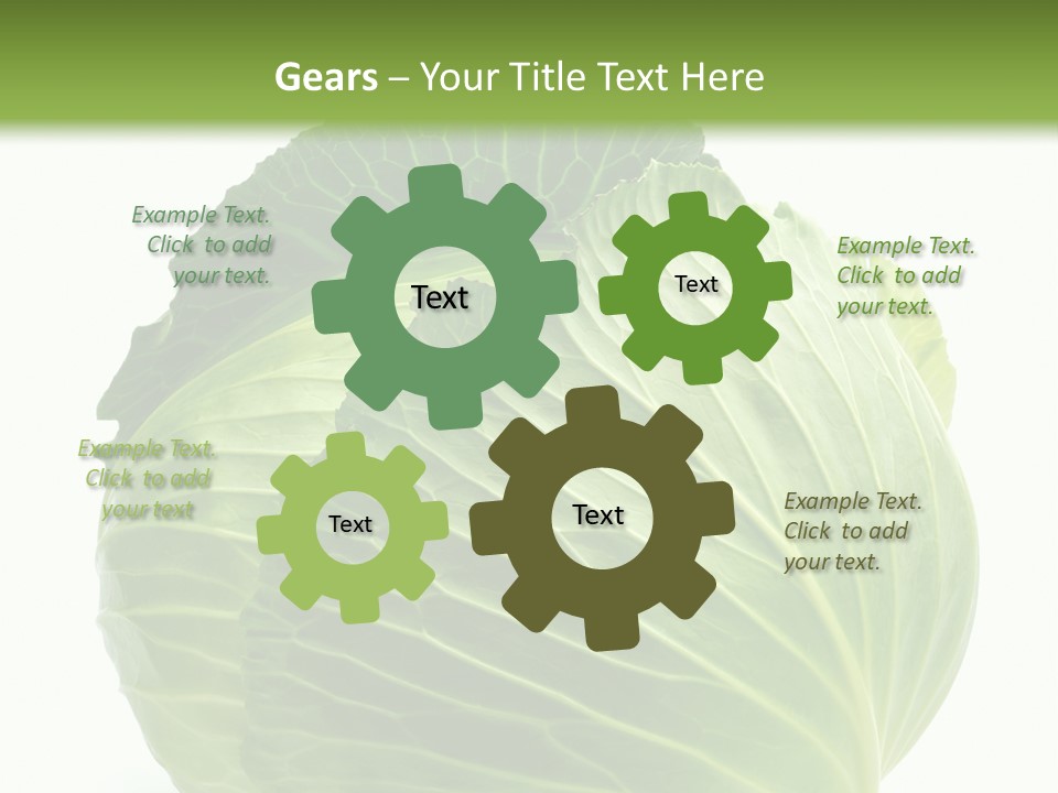 Mineral Salad Vegetable PowerPoint Template