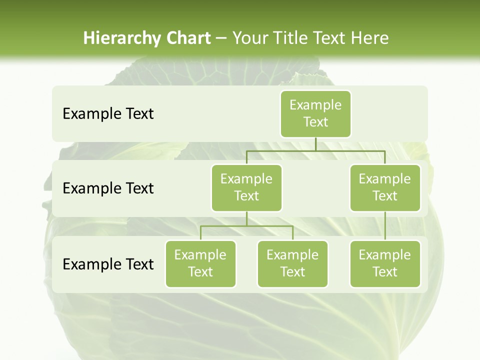 Mineral Salad Vegetable PowerPoint Template