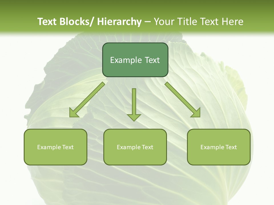 Mineral Salad Vegetable PowerPoint Template