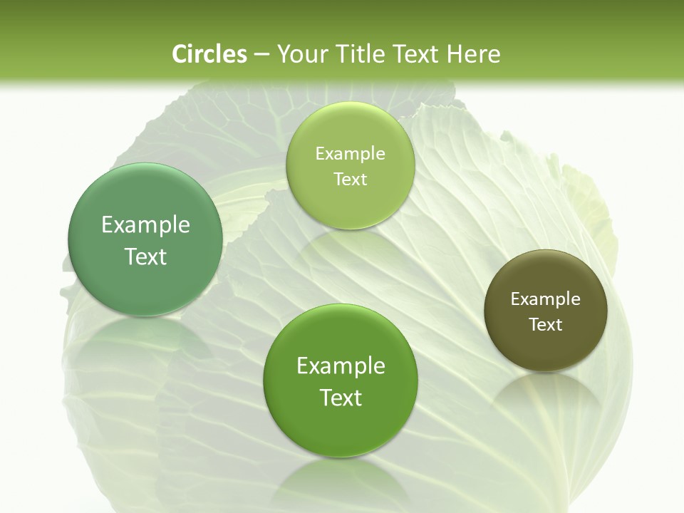 Mineral Salad Vegetable PowerPoint Template
