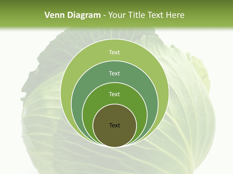 Mineral Salad Vegetable PowerPoint Template