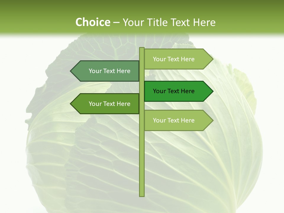 Mineral Salad Vegetable PowerPoint Template