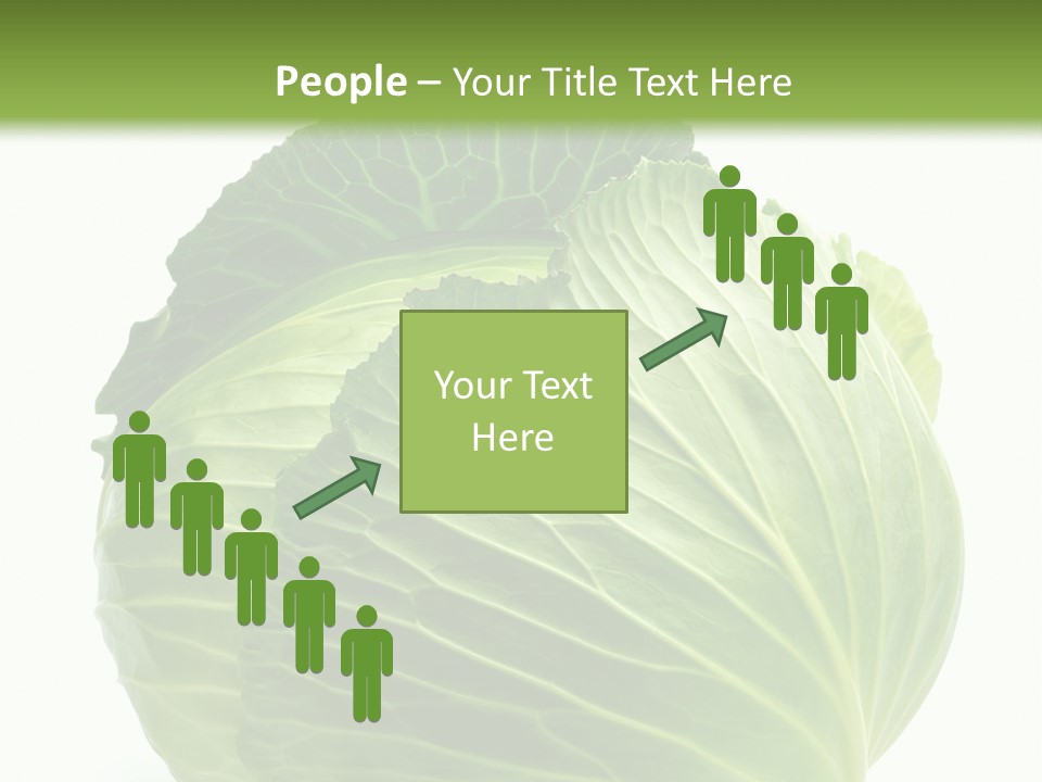 Mineral Salad Vegetable PowerPoint Template