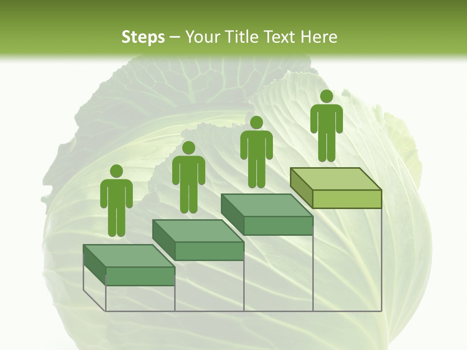 Mineral Salad Vegetable PowerPoint Template