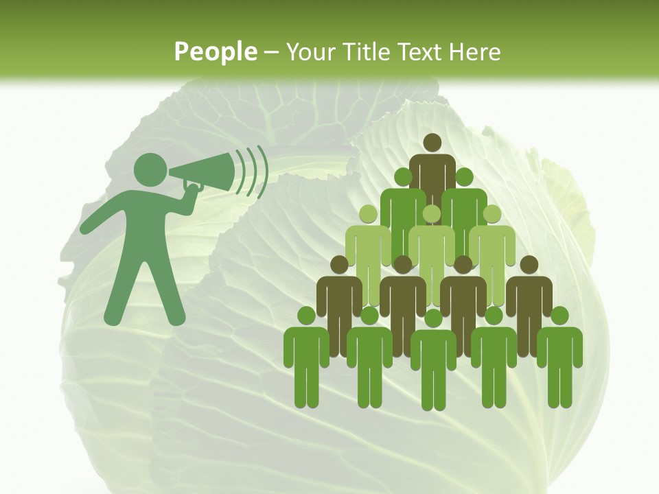 Mineral Salad Vegetable PowerPoint Template