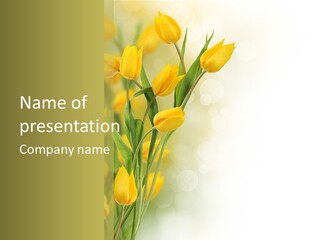 Blossom Plant Agriculture PowerPoint Template