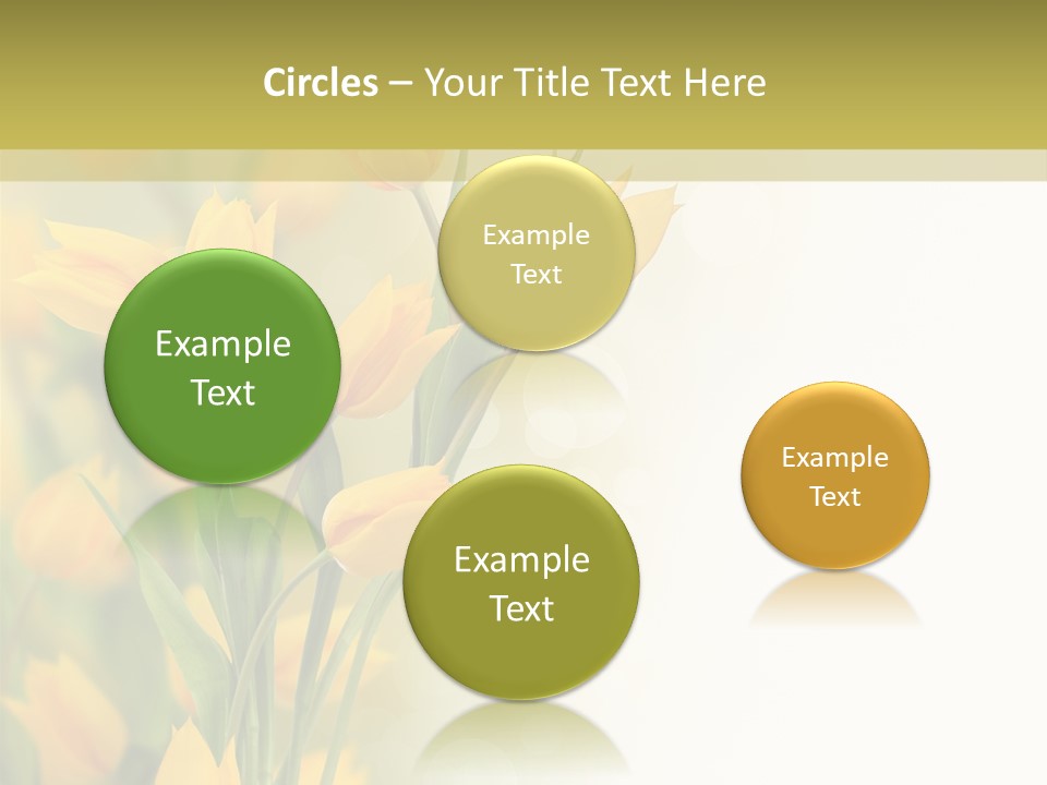 Blossom Plant Agriculture PowerPoint Template