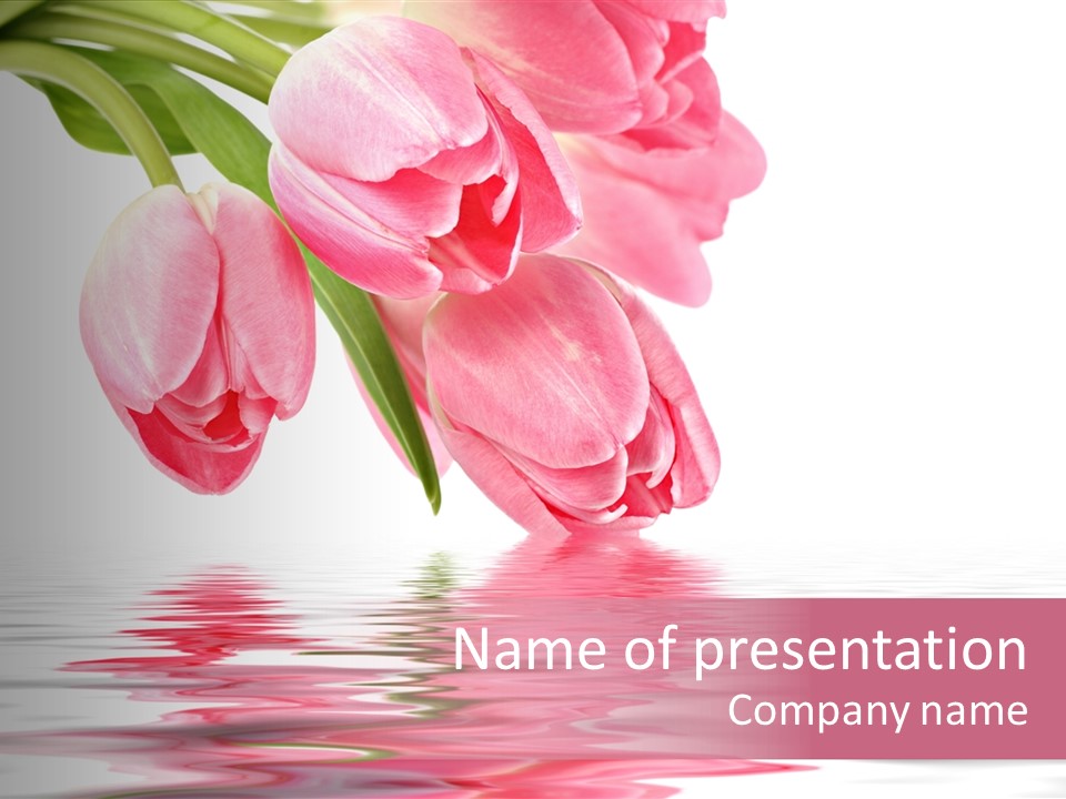 Nature Background Elegant PowerPoint Template