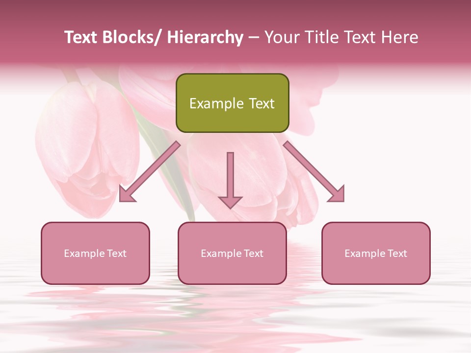 Nature Background Elegant PowerPoint Template