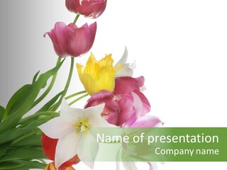 White Mother Background PowerPoint Template