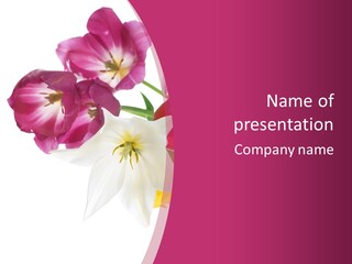 Natural Pink Text PowerPoint Template